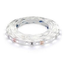 Светодиодная лента BIOM Professional BPS-G3-12-2835-60-CW-20 белый, негерметичная, 1м