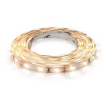 Светодиодная лента BIOM Professional BPS-G3-12-2835-60-NW-20 нейтральный белый, негерметичная, 1м