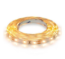 Светодиодная лента BIOM Professional BPS-G3-12-2835-60-WW-20 теплый белый, негерметичный, 1м