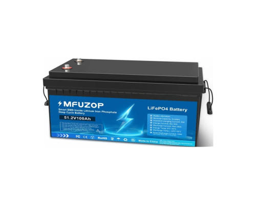 Акумулятор MFUZOP LiFePO4 51,2 V 100 Ah