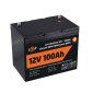 Акумулятор LP LiFePO4 12V (12,8V) - 100 Ah (1280Wh) (Smart BMS 100А) з BT пластик для ДБЖ