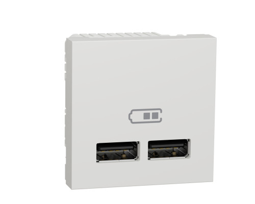 Розетка Usb Подвійна 2.1А 2 Модулі Білий