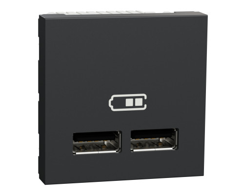 Розетка Usb Подвійна 2.1А 2 Модулі Антрацит